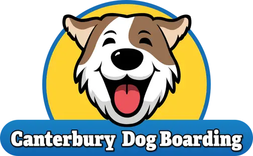 Canterbury Dog Boarding